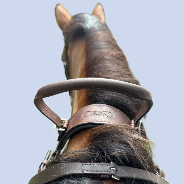 Correct Connect 3-Point Breastplate with Double Neck Strap - Image 5