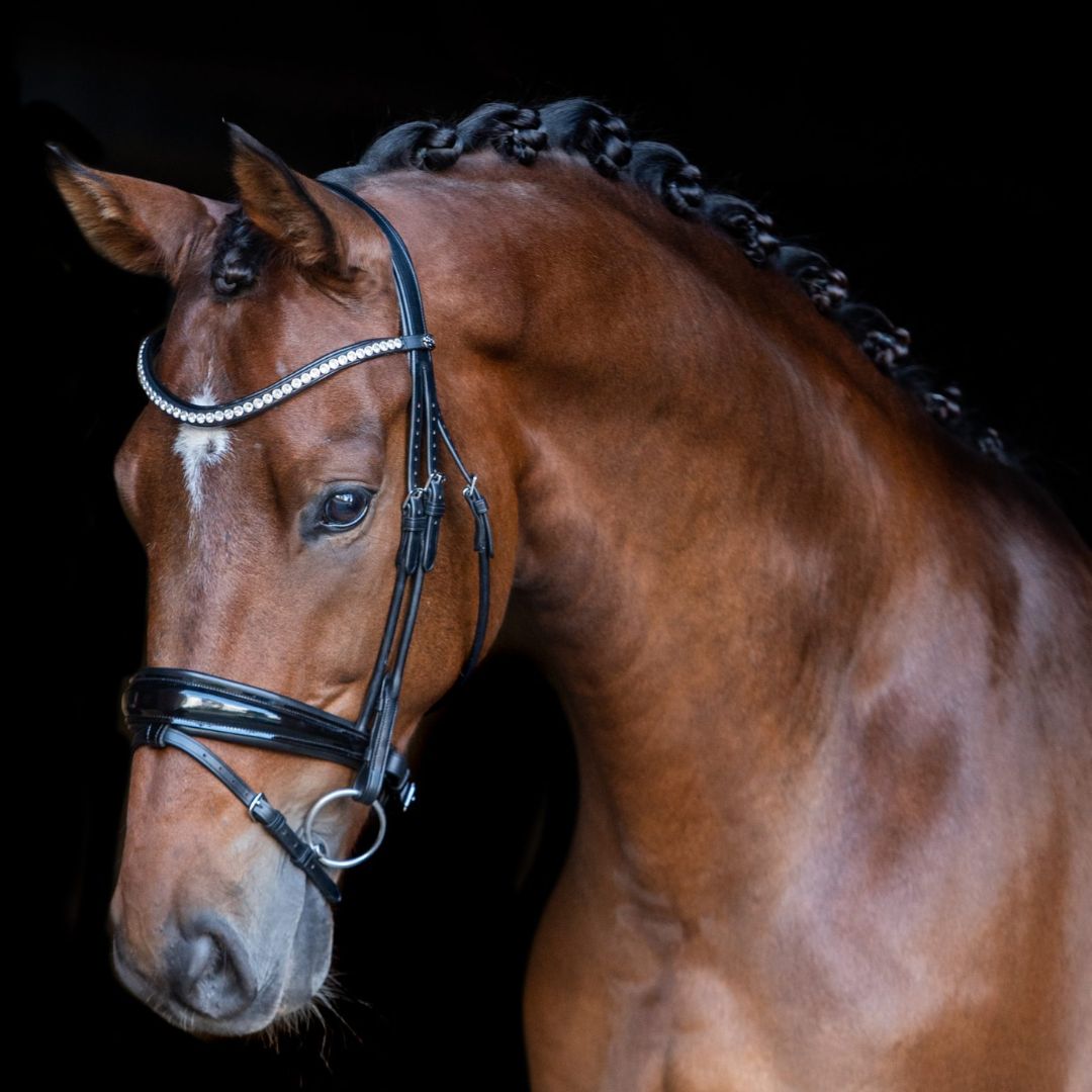 COMFORT Snaffle Flat Leather Patent Noseband COB - 2