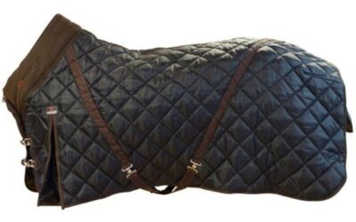 Equine Horse Rugs: How to Actually Get the Fit Right in Australia