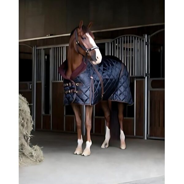 Catago Stable Rug with 500g fill - 2