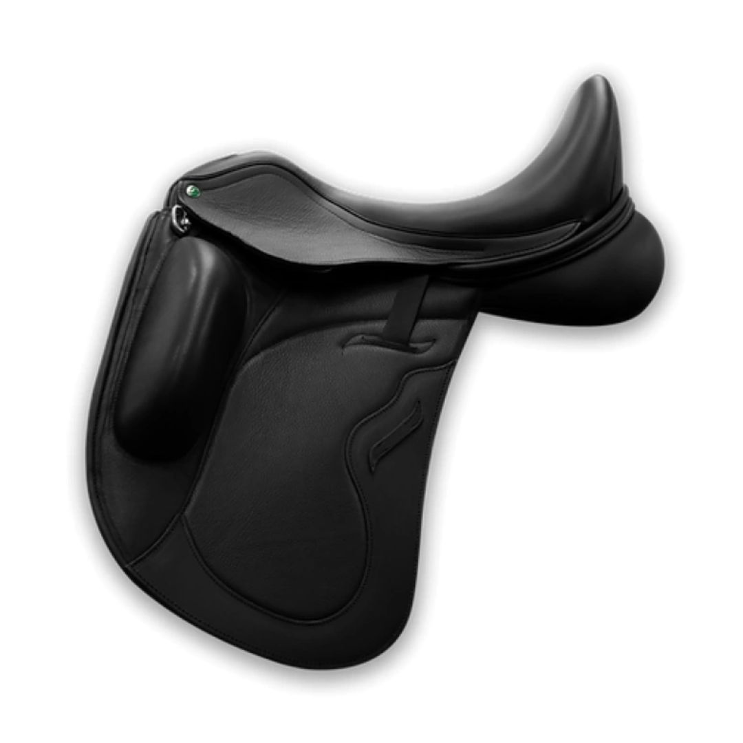 Envy Motion Dressage - 1