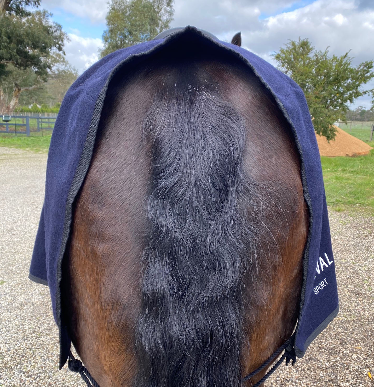 Cheval-Catago Quarter Sheet - Image 9