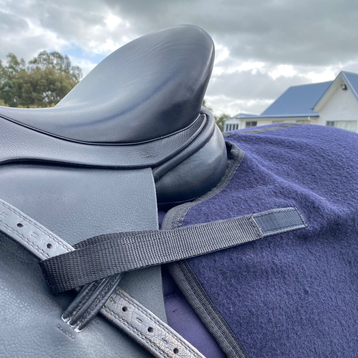 Cheval-Catago Quarter Sheet - Image 8