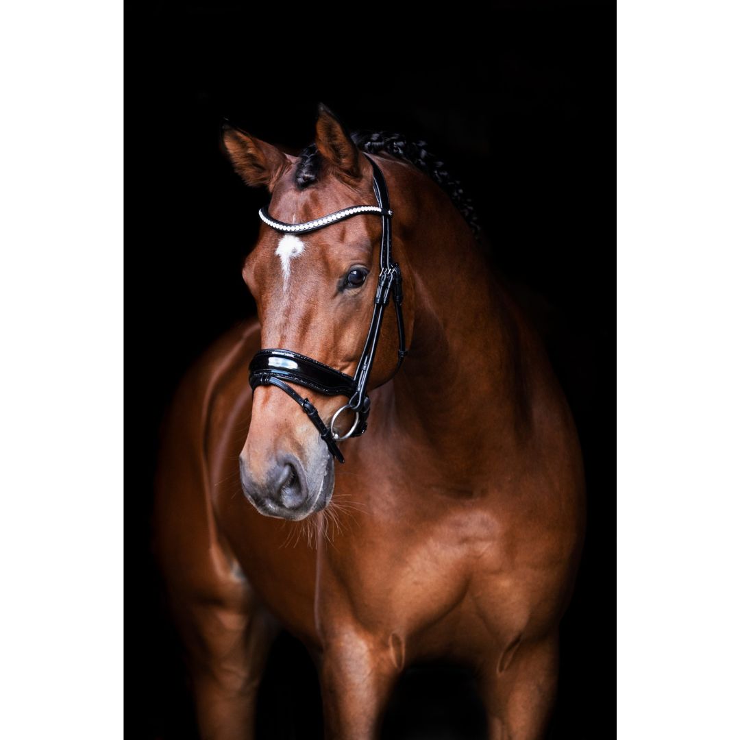 WINNER Double Patent Black Crystal Rock Trim FULL - 2