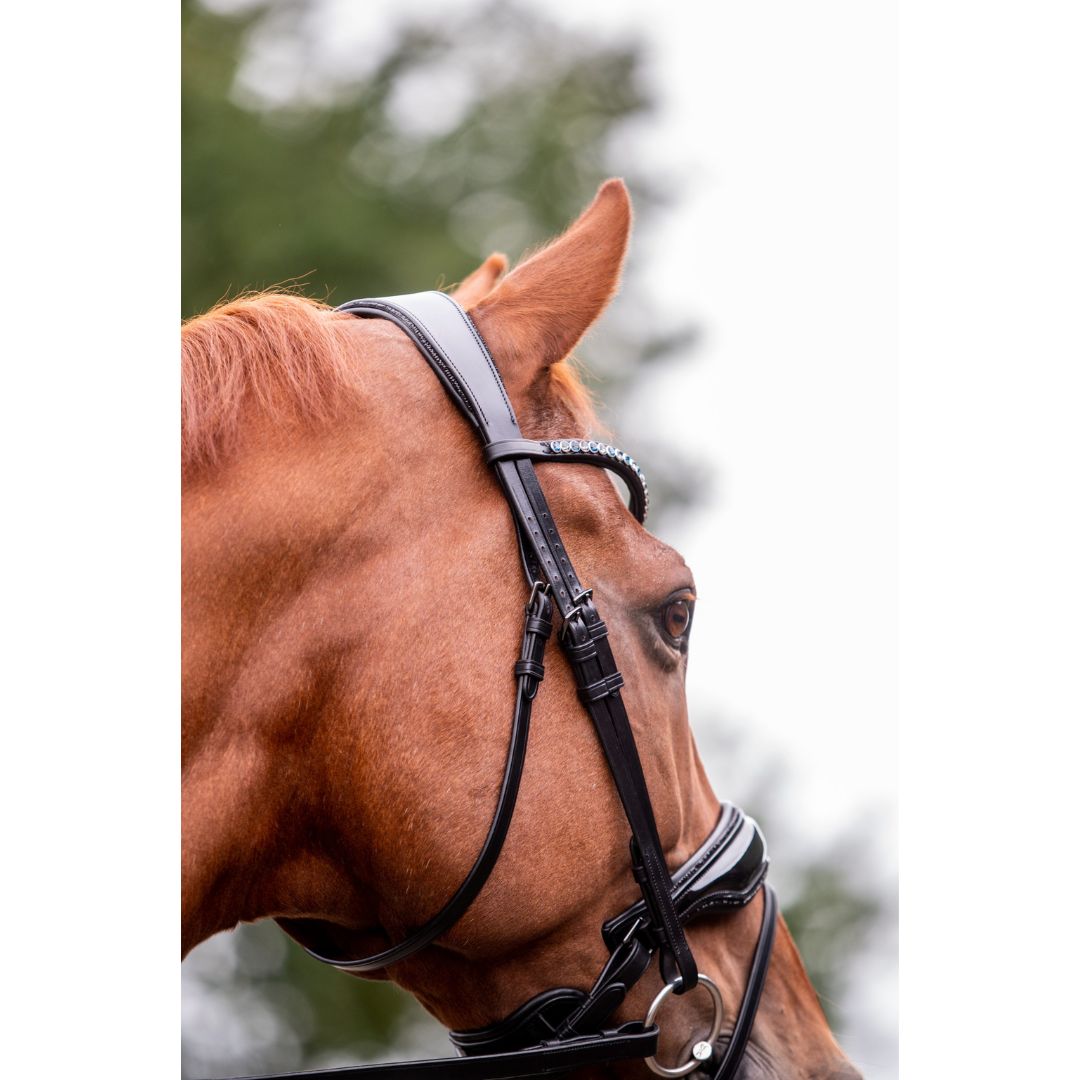 WINNER Snaffle Patent Black Crystal Rock Trim FULL - 2