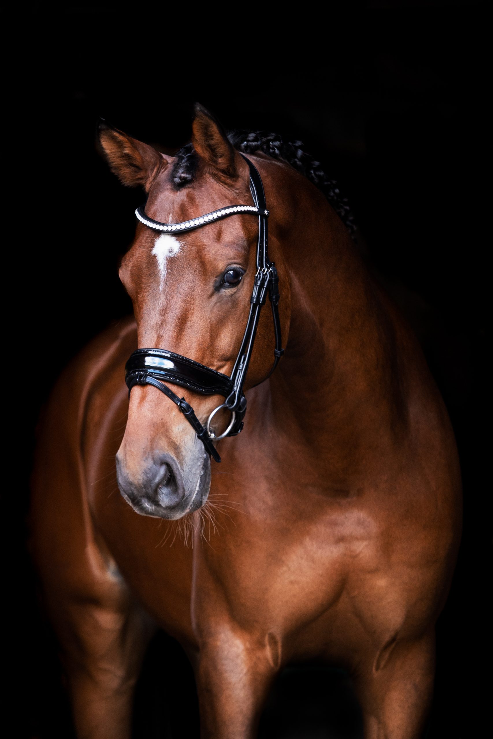 WINNER Snaffle | Patent | Black Crystal Rock Trim | FULL - Image 4