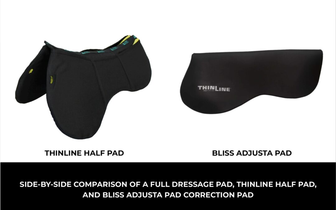 Saddle Pads
