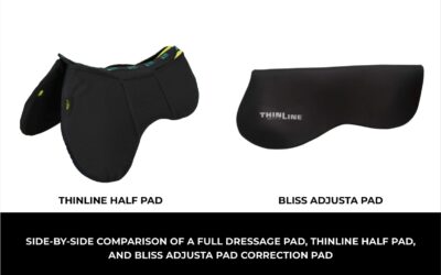 Saddle Pads: Why the Wrong One Is Quietly Hurting Your Horse Every Ride