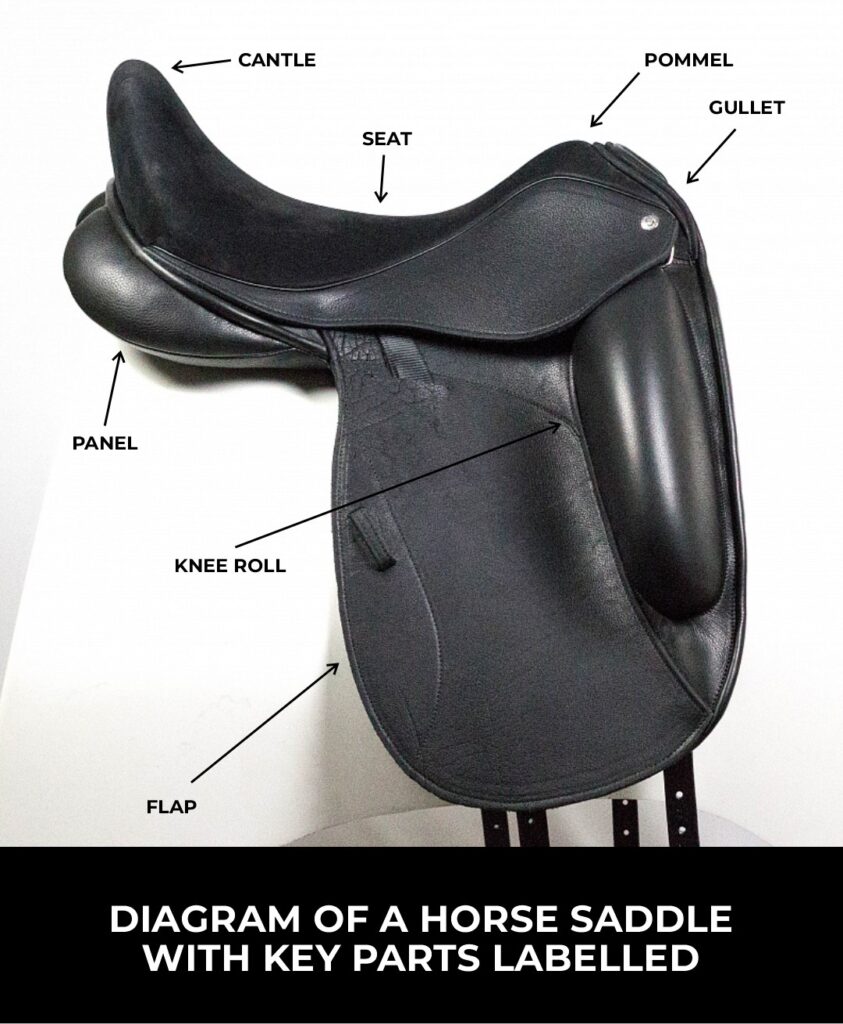 HORSE SADDLE ANATOMY PARTS DIAGRAM POMMEL CANTLE SEAT FLAP PANEL GULLET KNEE ROLL AUSTRALIA