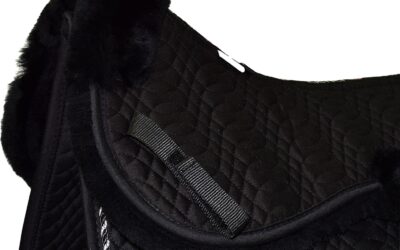 Saddlery Basics: Saddleworld and More That You Should Know